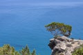 The blue sea near aghia fotia, at Crete, Grece Royalty Free Stock Photo